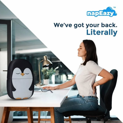 NapEazy Wellness Pillow - 3-In-1 Pillow For Neck, Back & Lumbar Support  - Qtee Panda