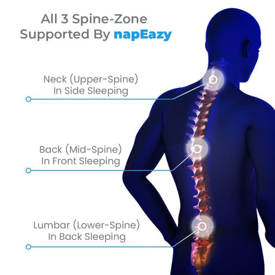 NapEazy Wellness Pillow - 3-In-1 Pillow For Neck, Back & Lumbar Support - Northern Lights Kiwi